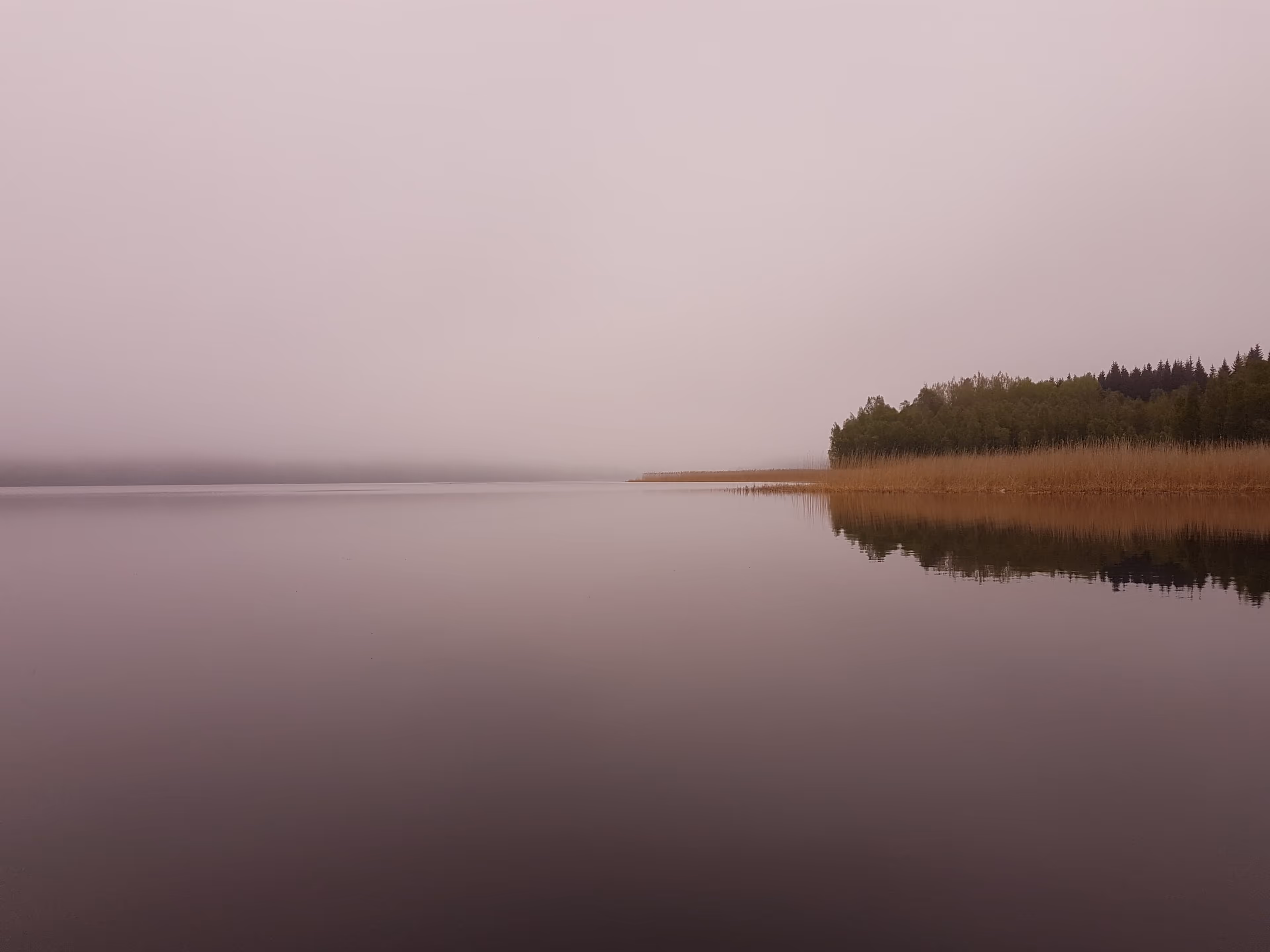 fifth_1