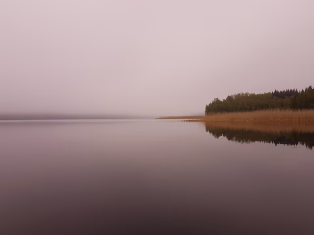fifth_1